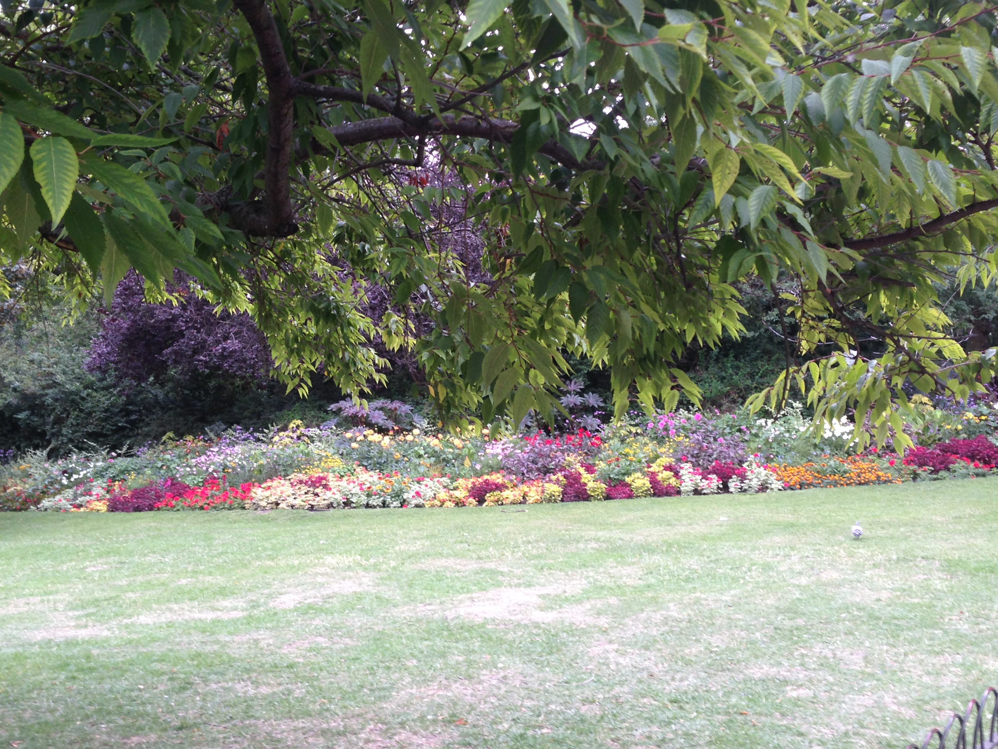 Frances iPhone pics March - August 2015 1532